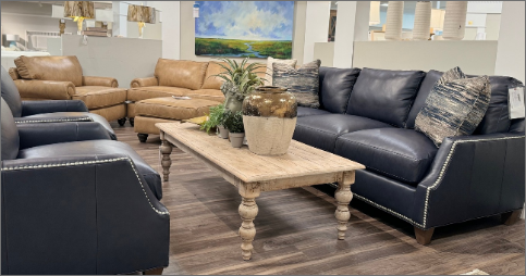 Living Room Furniture at Lagniappe Home Store